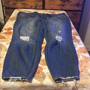 Torrid Distressed Blue Jeggings